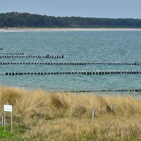 Ferienwohnung Traumstrand Glowe Zewnętrze zdjęcie