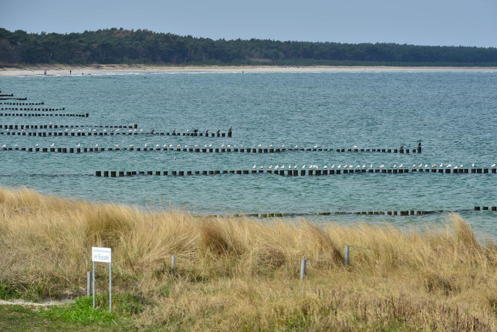Ferienwohnung Traumstrand Glowe Zewnętrze zdjęcie